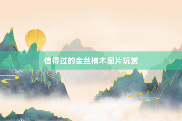 信得过的金丝楠木图片玩赏