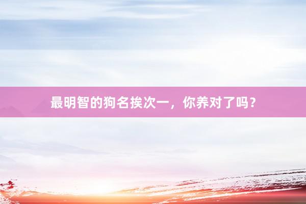 最明智的狗名挨次一，你养对了吗？