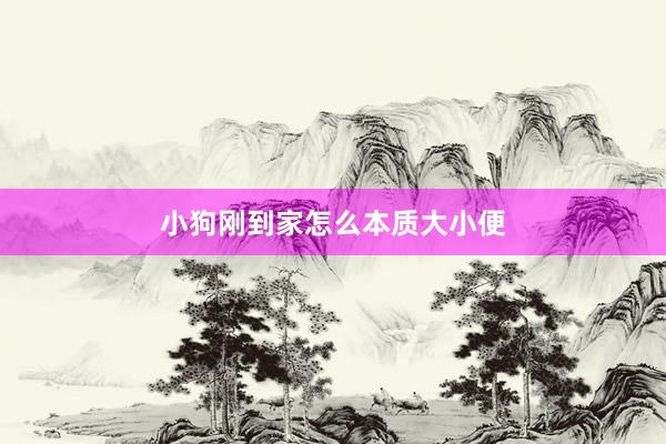 小狗刚到家怎么本质大小便