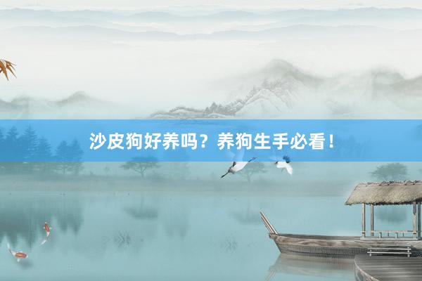 沙皮狗好养吗?养狗生手必看!